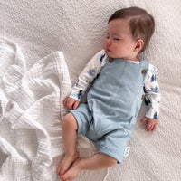 Snow Animals Overall Set