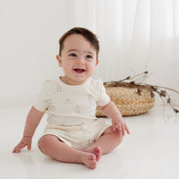 Baby Boys Animal Natural Ribbed Meerkat Rib Harem Shorts