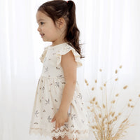 Baby Girls Bird Swallow Lace Ruffle Dress Party Natural