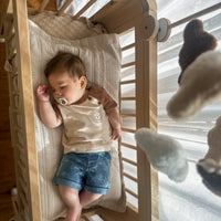 Lion Embroidered Raglan Tee