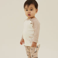 Baby Boys Bear Print Raglan Tee Brown Polar Bears