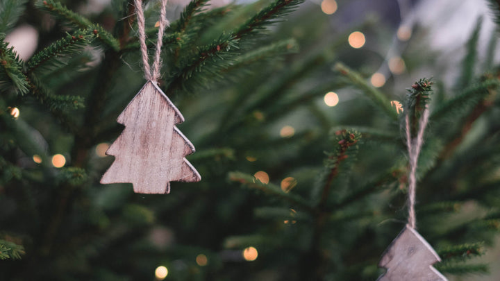 5 Eco-friendly Christmas Activities
