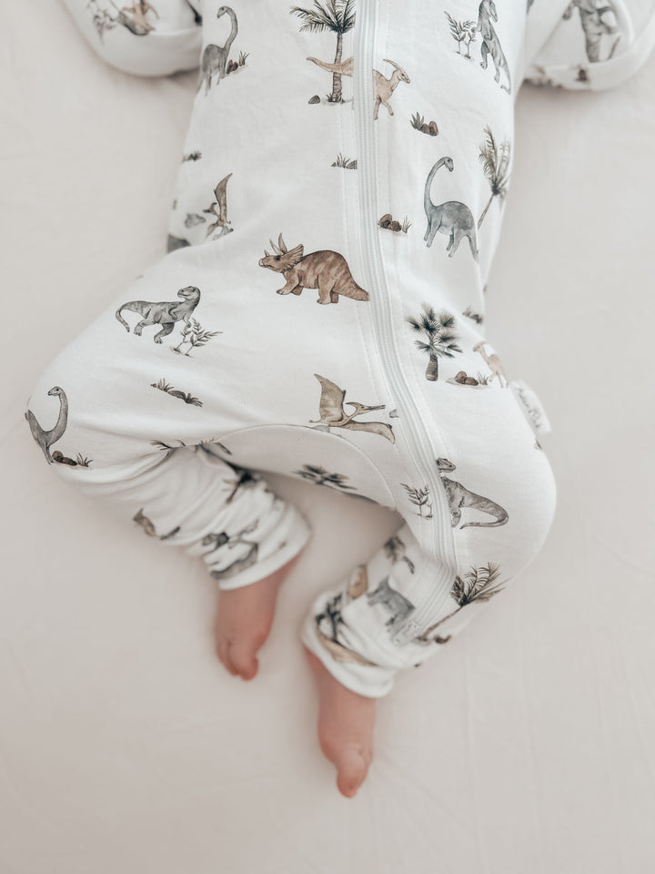 Dinosaurs Baby & Toddler Dino print organic clothing snuggly and cute
