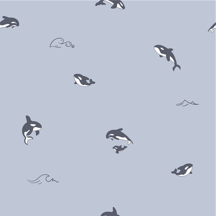 Orcas