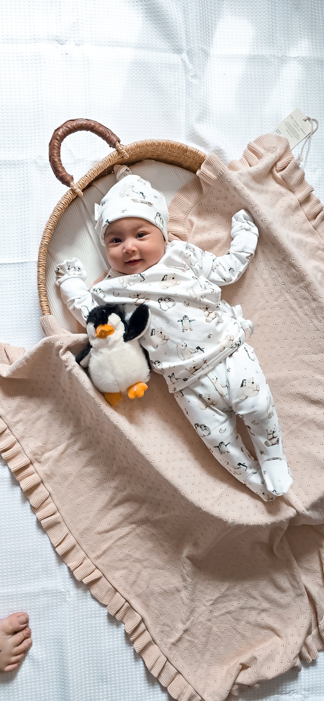 Polar Friends 5 Piece Gift Set