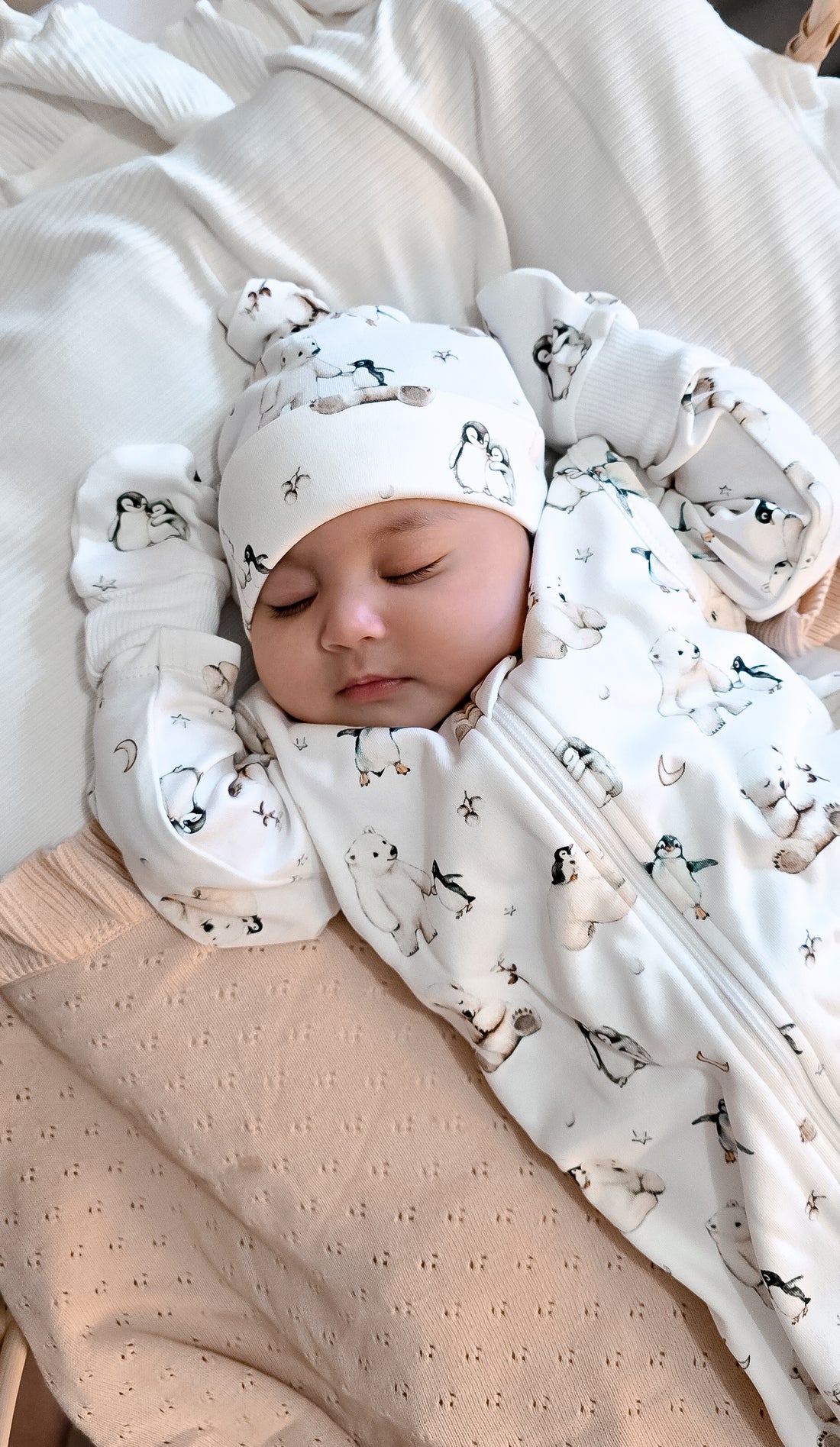 Polar Friends 5 Piece Gift Set