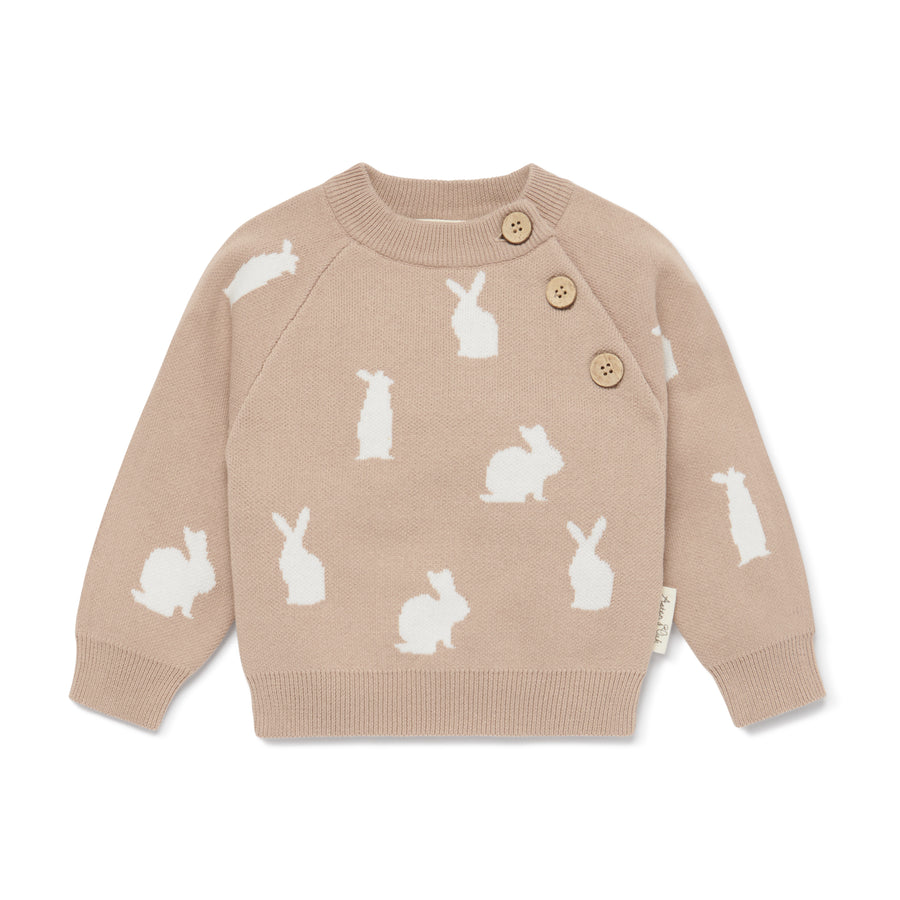 Baby Boy Knitted Easter Taupe Bunny Knit Jumper