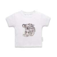AONAT01_KOALA_1