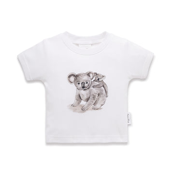AONAT01_KOALA_1