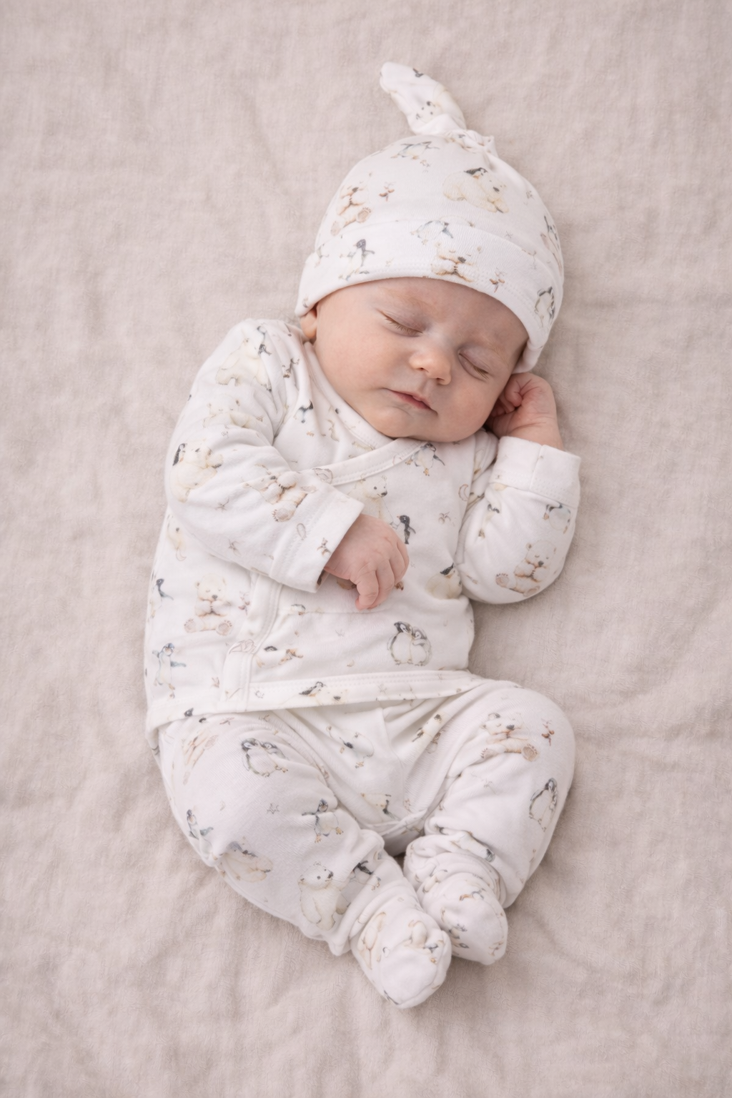 Polar Friends 5 Piece Gift Set