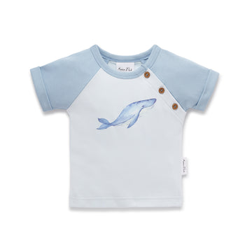 AOUTS01_WHALEPRINT_1