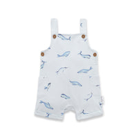 AOUTS09_UNDERTHESEA_1