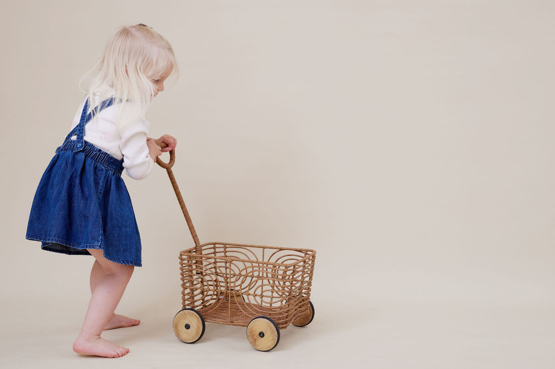 Bow Denim Pini Dress