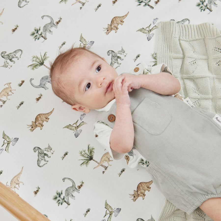 Baby & Toddler Dinosaur Short Sleeve Tee Top Cotton