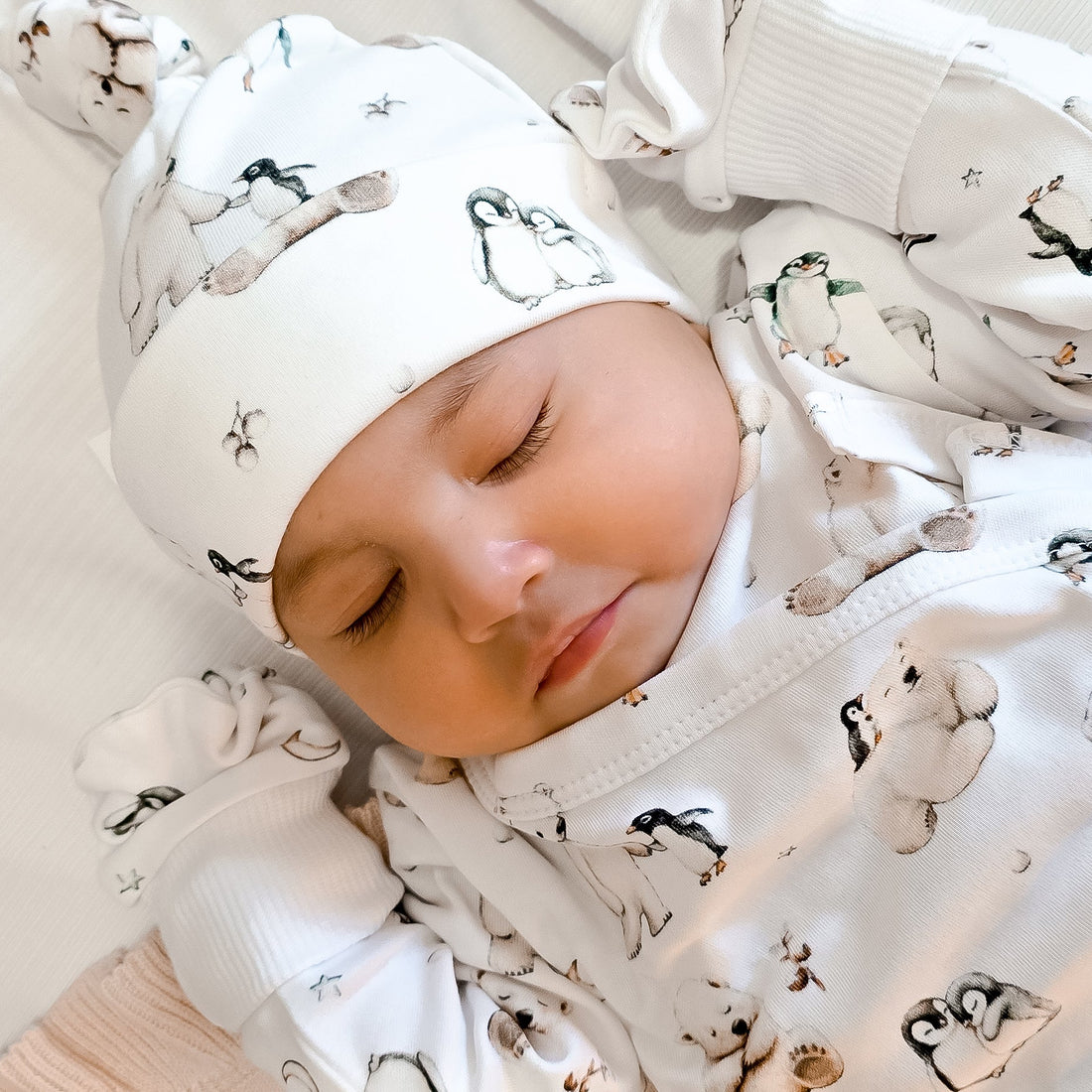 Polar Friends 5 Piece Gift Set