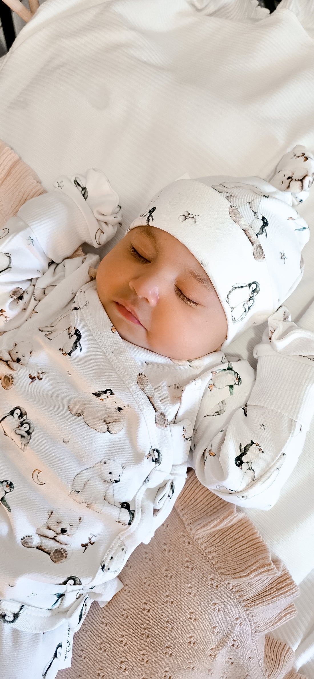 Polar Friends 5 Piece Gift Set