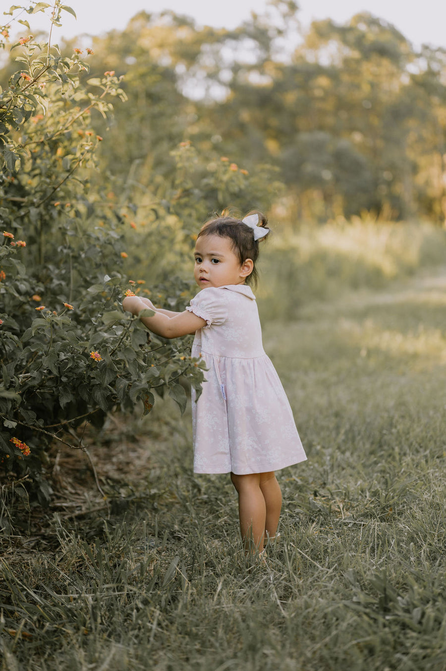 Eve Floral Button Dress