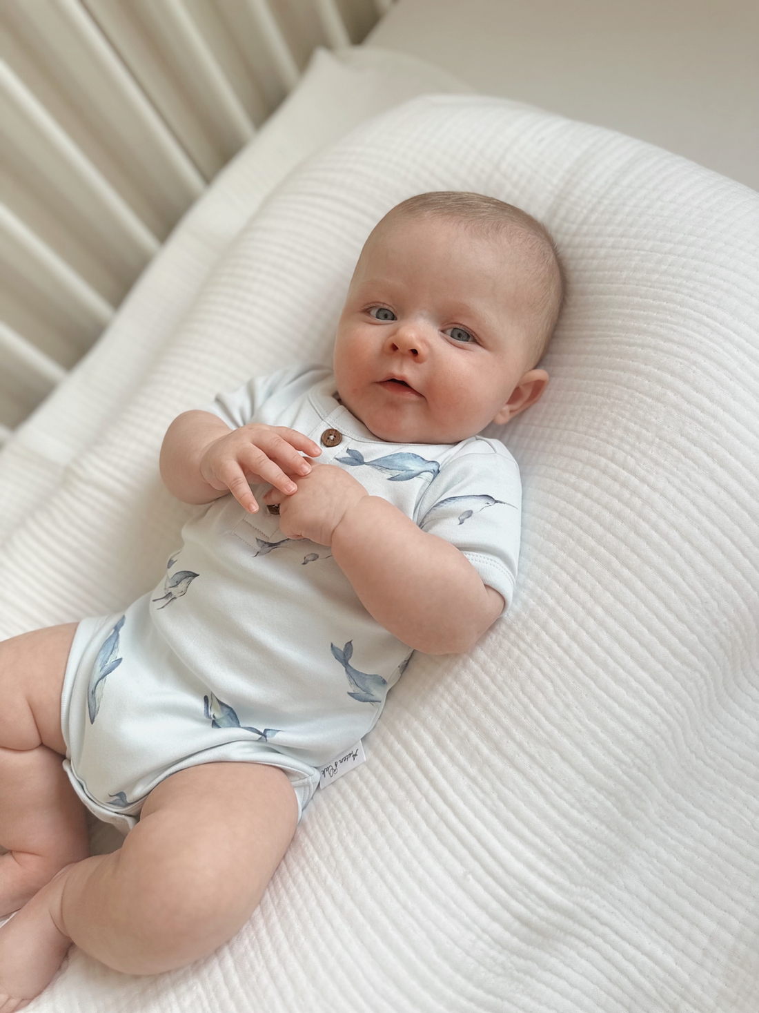 Under The Sea Henley Onesie
