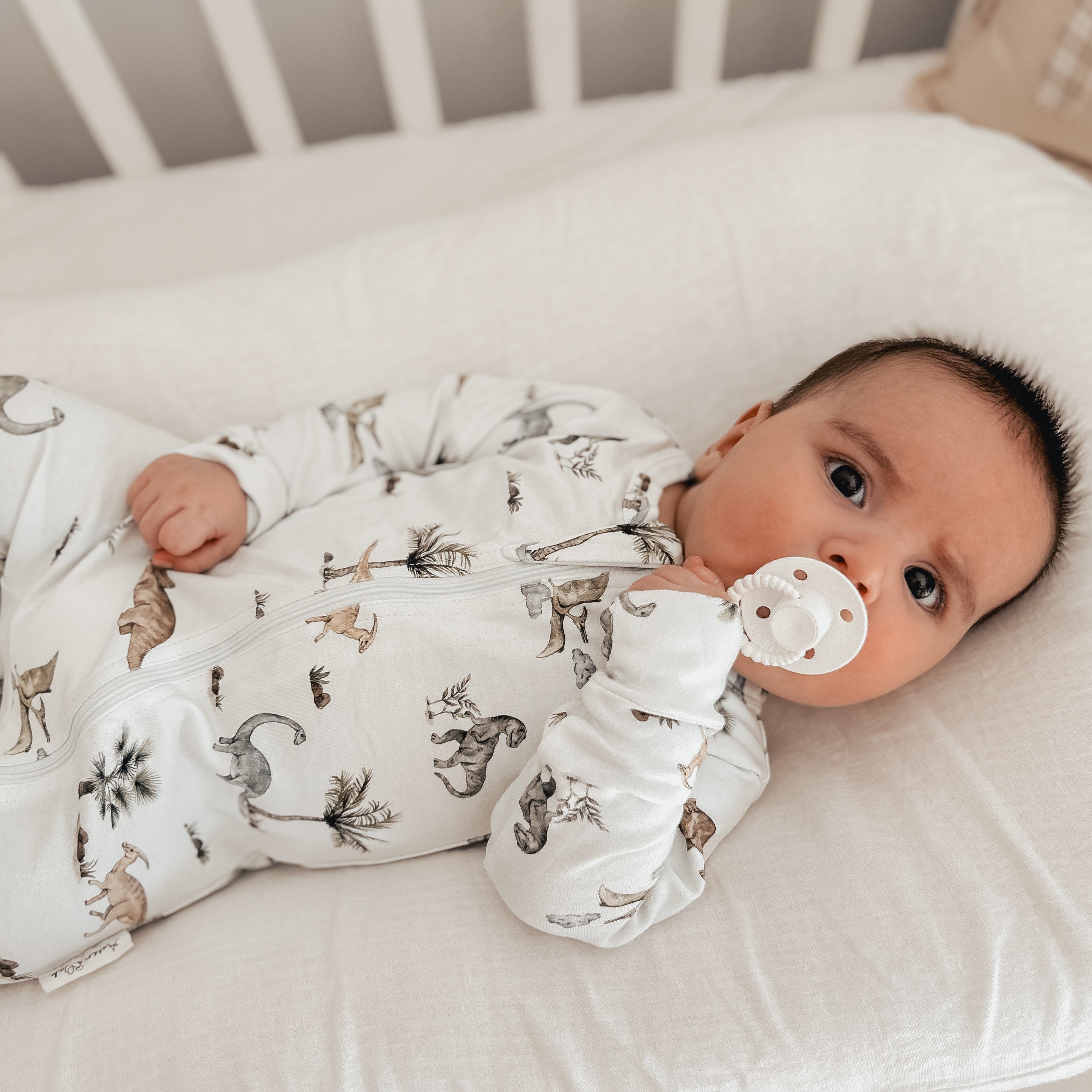 Baby Newborn Green Blue Dinosaur Zip Romper Zippy