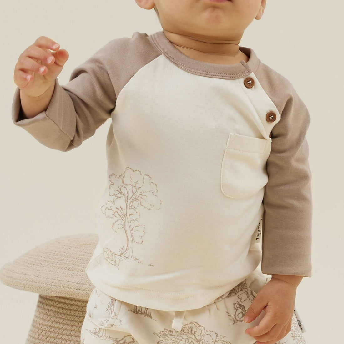 Baby Boy Natural Sleepy Fox Print Raglan Tee Top