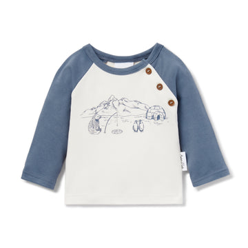 Arctic Print Raglan Tee Baby Boys Tshirt